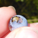 Flora Fruits Vegan Publicdomain (53)