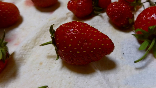 Flora Fruits Vegan Publicdomain (56).jpg