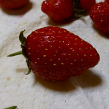 Flora Fruits Vegan Publicdomain (56)