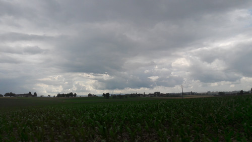 Fields; Publicdomain; Cc0; Freeimage;.jpg