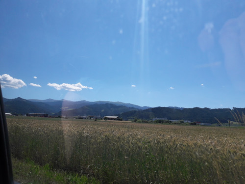 Fields; Publicdomain; Cc0; Freeimage;.jpg