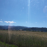 Fields; Publicdomain; Cc0; Freeimage;