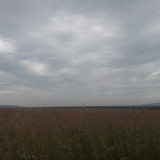 Fields; Publicdomain; Cc0; Freeimage;