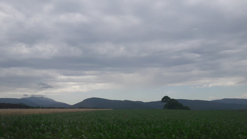 Fields; Publicdomain; Cc0; Freeimage;.jpg