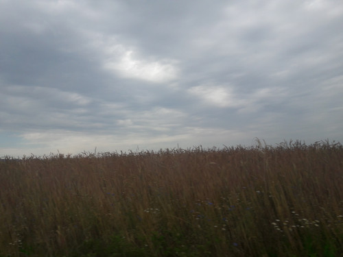 Fields; Publicdomain; Cc0; Freeimage;.jpg