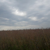 Fields; Publicdomain; Cc0; Freeimage;