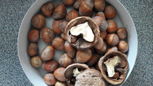 Standard Creativity.jpg