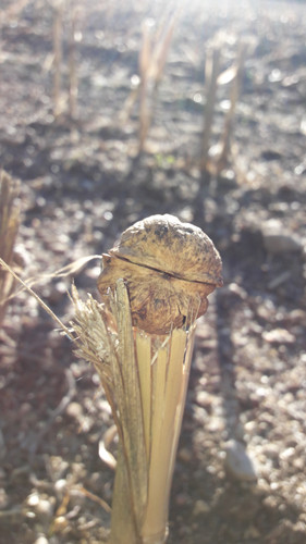 Fotos By ATMODEPTH.jpg