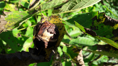 Fotos By ATMODEPTH.jpg