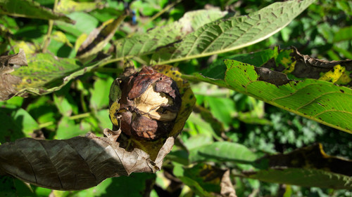 Fotos By ATMODEPTH.jpg