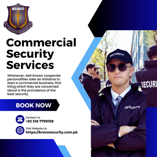 commercial .,security service.png