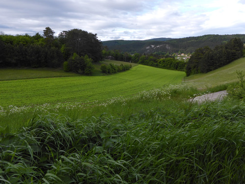 Fields; Publicdomain; Cc0; Freeimage;.jpg