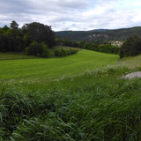 Fields; Publicdomain; Cc0; Freeimage;