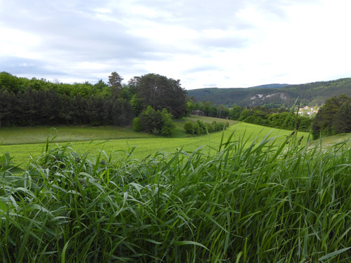 Fields; Publicdomain; Cc0; Freeimage;.jpg