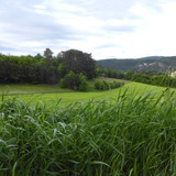 Fields; Publicdomain; Cc0; Freeimage;