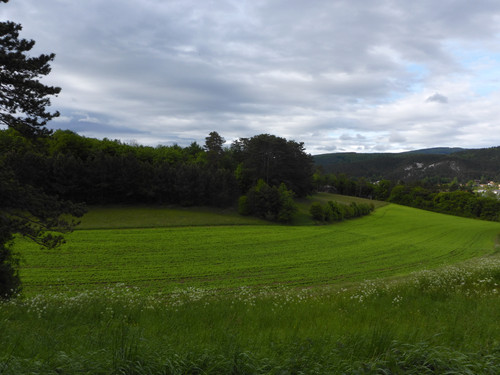 Fields; Publicdomain; Cc0; Freeimage;.jpg