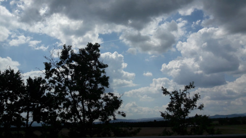 Tree; Publicdomain; Cc0; Freeimage;.jpg