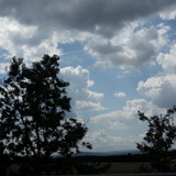 Tree; Publicdomain; Cc0; Freeimage;