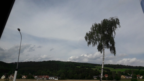 Tree; Publicdomain; Cc0; Freeimage;.jpg