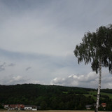 Tree; Publicdomain; Cc0; Freeimage;