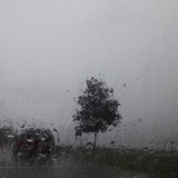 Tree; Publicdomain; Cc0; Freeimage;