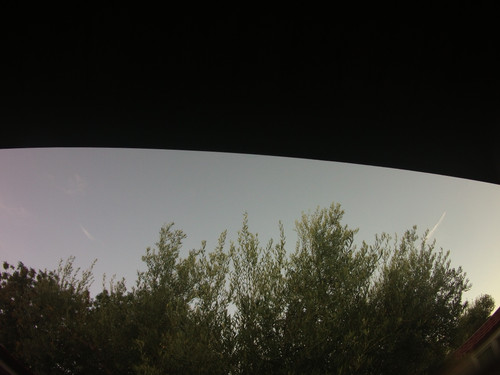 Tree; Publicdomain; Cc0; Freeimage;.jpg