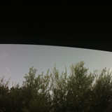 Tree; Publicdomain; Cc0; Freeimage;