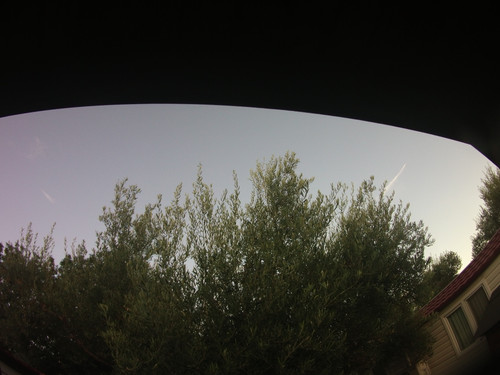 Tree; Publicdomain; Cc0; Freeimage;.jpg