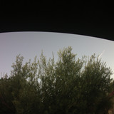 Tree; Publicdomain; Cc0; Freeimage;