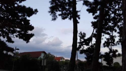 Tree; Publicdomain; Cc0; Freeimage;.jpg