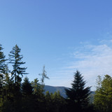 Tree; Publicdomain; Cc0; Freeimage;