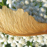 Flora Plant Assembled Arranged Publicdomain (9)