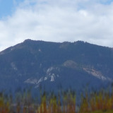 Plant; Publicdomain; Cc0; Freeimage;