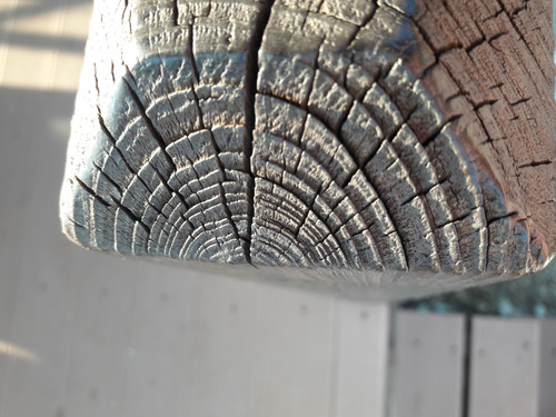 Tree; Publicdomain; Cc0; Freeimage;.jpg