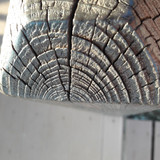 Tree; Publicdomain; Cc0; Freeimage;