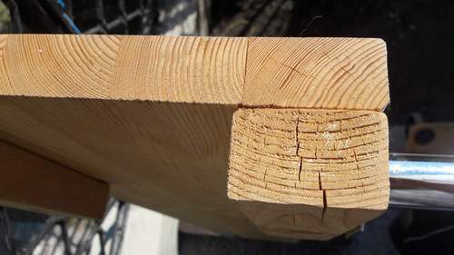 Tree; Publicdomain; Cc0; Freeimage;.jpg