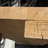 Tree; Publicdomain; Cc0; Freeimage;