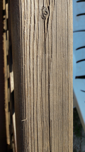 Tree; Publicdomain; Cc0; Freeimage;.jpg