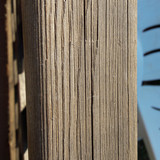 Tree; Publicdomain; Cc0; Freeimage;