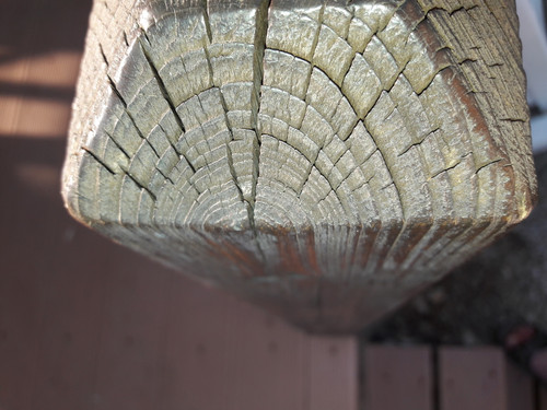 Tree; Publicdomain; Cc0; Freeimage;.jpg