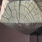 Tree; Publicdomain; Cc0; Freeimage;