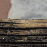 Tree; Publicdomain; Cc0; Freeimage;