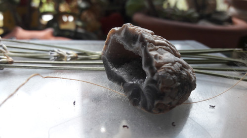 Crystal; Publicdomain; Cc0; Freeimage;.jpg