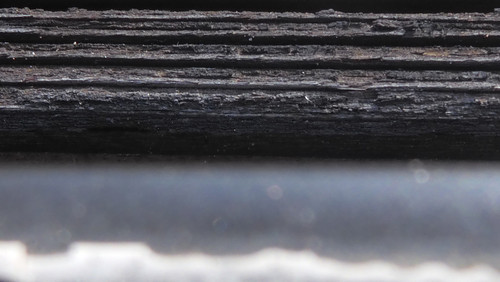 Tree; Publicdomain; Cc0; Freeimage;.jpg