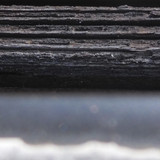 Tree; Publicdomain; Cc0; Freeimage;