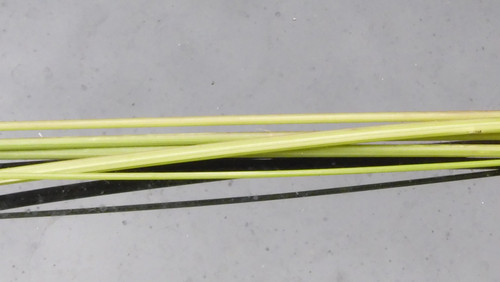 Flora Plant A Beauty Publicdomain (26).jpg