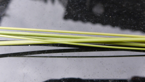 Flora Plant A Beauty Publicdomain (28).jpg