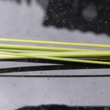 Flora Plant A Beauty Publicdomain (28)