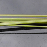 Flora Plant A Beauty Publicdomain (29)