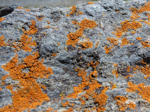 Grounds Rock A Publicdomain (5).jpg